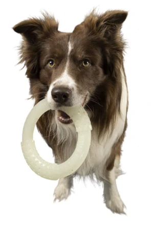 Kiwi Walker Glow Ring Maxi