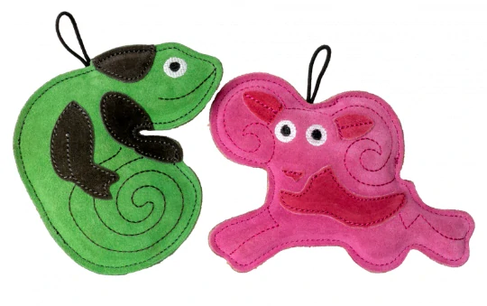 Kiwi Walker Leather Capricorn