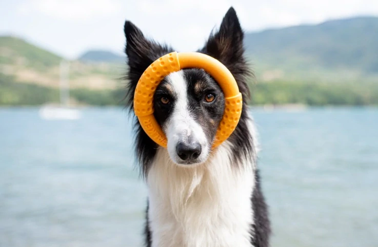 Kiwi Walker Ring Maxi oranžový